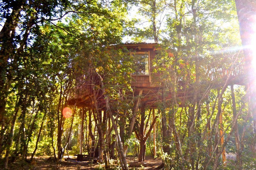Tree Lodge Nidos De Pucón Eksteriør bilde