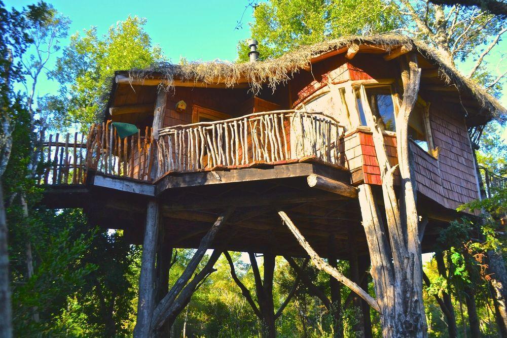 Tree Lodge Nidos De Pucón Eksteriør bilde