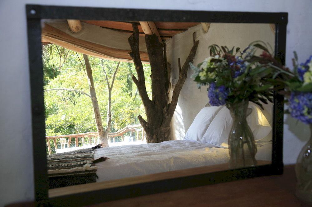 Tree Lodge Nidos De Pucón Eksteriør bilde