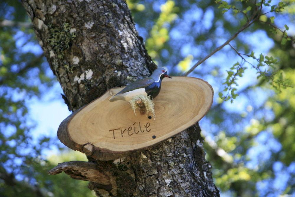 Tree Lodge Nidos De Pucón Eksteriør bilde