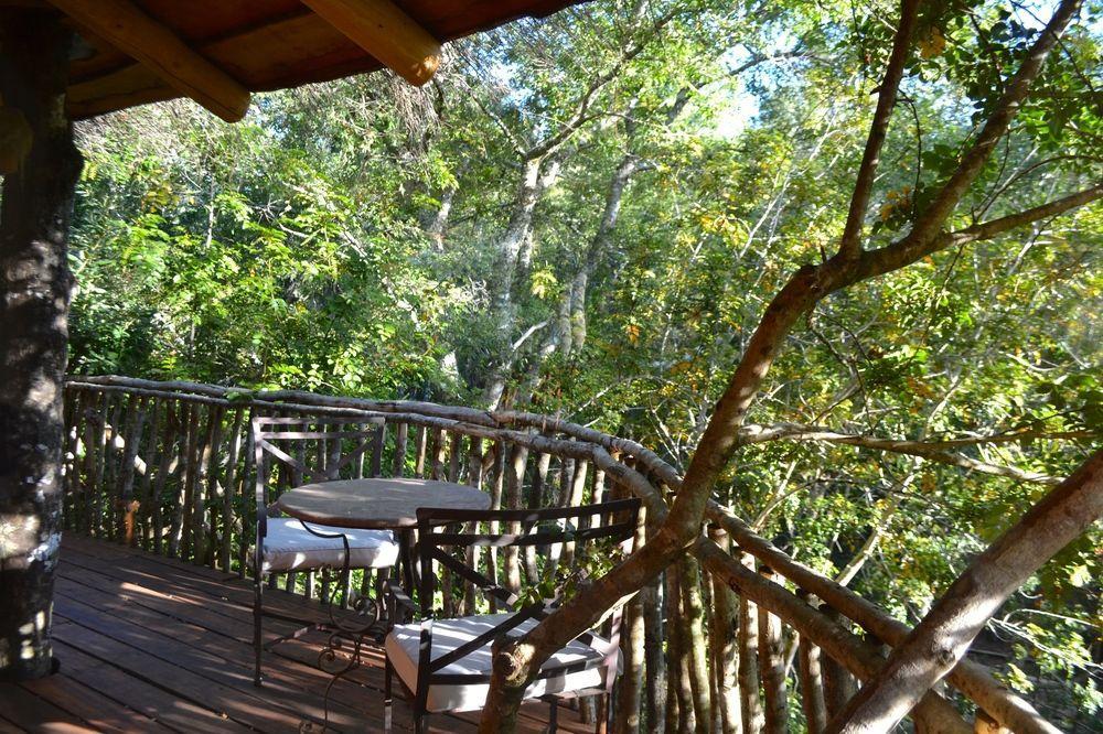 Tree Lodge Nidos De Pucón Eksteriør bilde