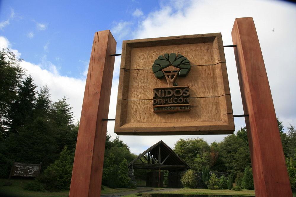 Tree Lodge Nidos De Pucón Eksteriør bilde
