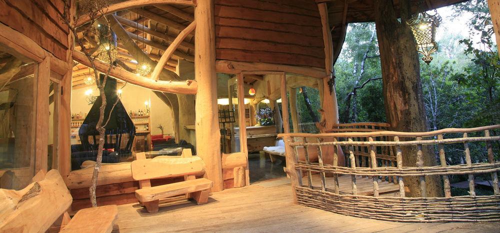 Tree Lodge Nidos De Pucón Eksteriør bilde